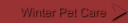 Winter Pet Care